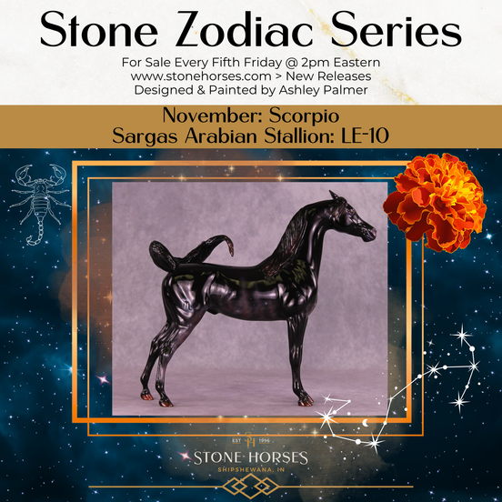 Sargas LE-10 EFCM Arabian Stallion by Ashley Palmer ZS25