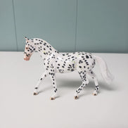 Little Sparkle Run LE-10 Appaloosa Chips By Dawn Quick EQ24