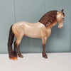 Brave OOAK Amber Champagne with Reverse Dapples Custom Andalusian By Ashley Palmer