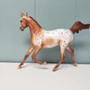 Wispa Gold OOAK Appaloosa Yearling By Sheryl Leisure Best Offers 2/19/24