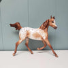 Wispa Gold OOAK Appaloosa Yearling By Sheryl Leisure Best Offers 2/19/24