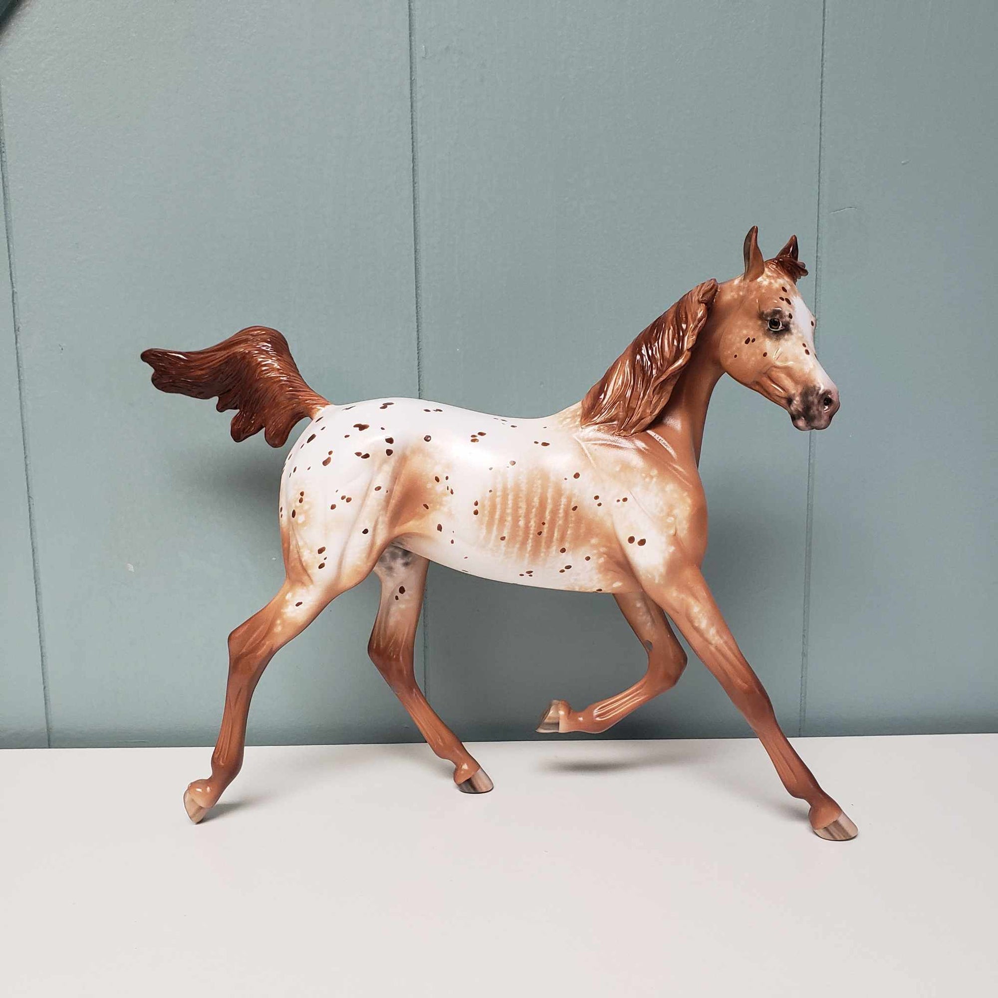 Wispa Gold OOAK Appaloosa Yearling By Sheryl Leisure Best Offers 2/19/24