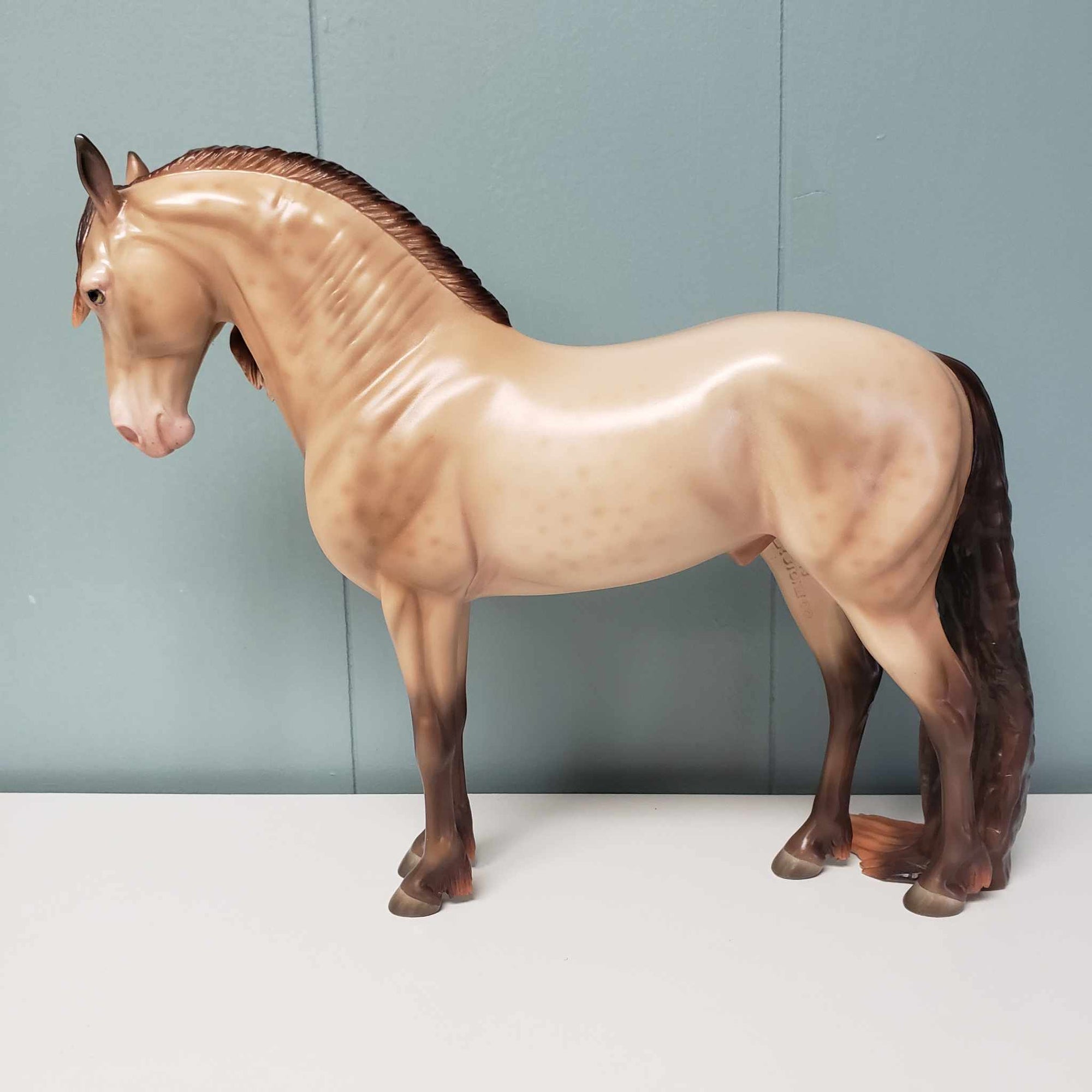 Brave OOAK Amber Champagne with Reverse Dapples Custom Andalusian By Ashley Palmer