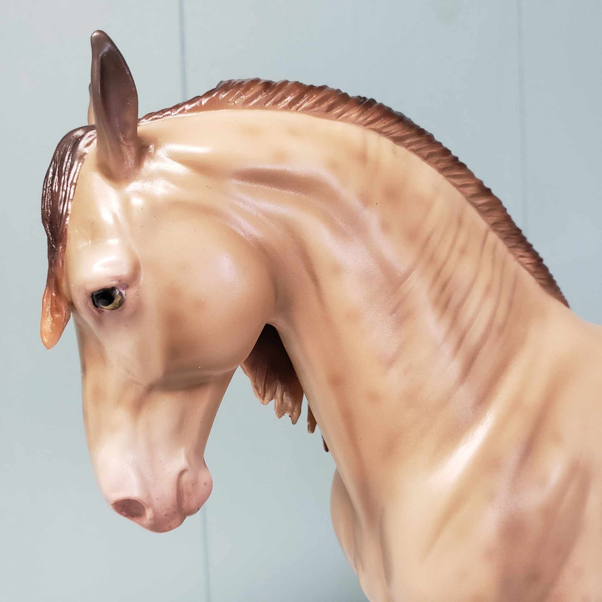 Brave OOAK Amber Champagne with Reverse Dapples Custom Andalusian By Ashley Palmer