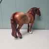 Ada OOAK Red Roan Heavy Draft By Angela Marleau - Best Offers 4/9/24