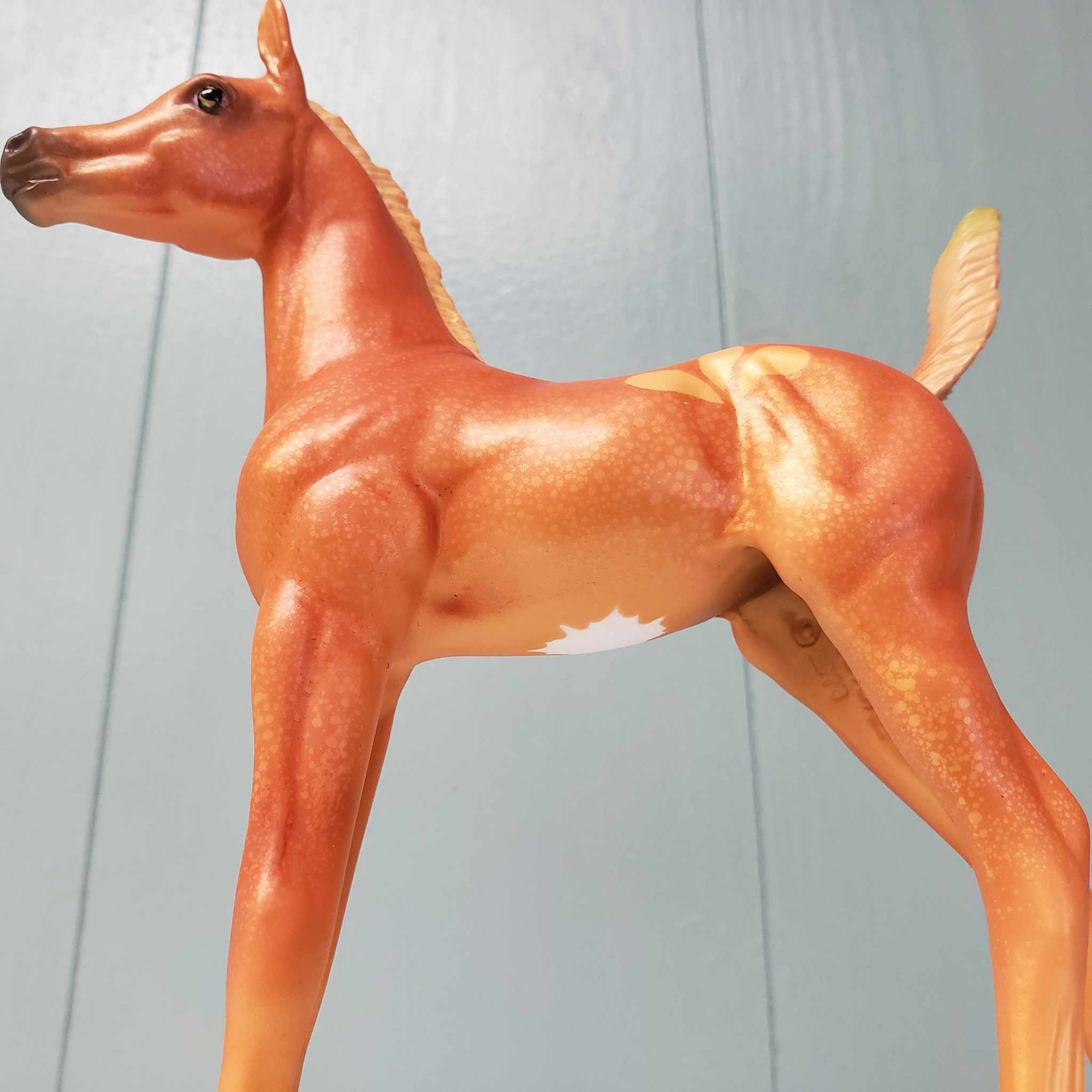 SAMPLE Orange You Glad To See Me Deco Fruit Foal LE-30 By Ashley Palmer