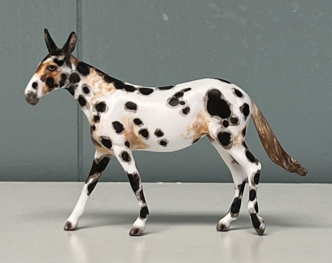 Bobalue OOAK Appaloosa Mule by Andrea Thomason Custom Mule Chip -  SAMPLE & OOAK SALE APRIL 2024 SS424