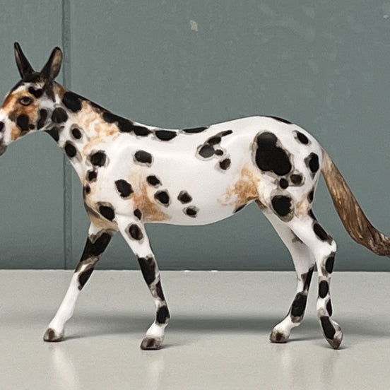 Bobalue OOAK Appaloosa Mule by Andrea Thomason Custom Mule Chip -  SAMPLE & OOAK SALE APRIL 2024 SS424
