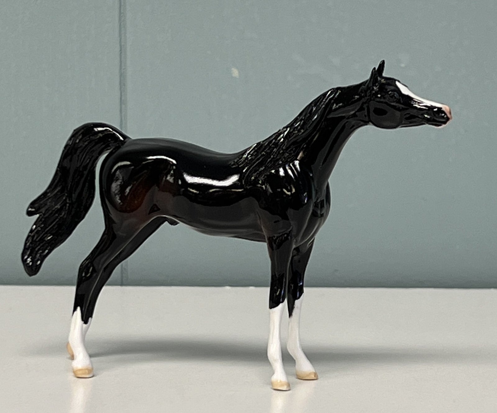 Rajah Glossy Sample Arabian Chip -  SAMPLE & OOAK SALE APRIL 2024 SS424