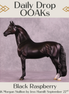 Black Raspberry OOAK Morgan by Jess Hamill DDOOAKs25