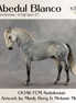 Abedul Blanco OOAK FCM Andalusian by Mindy Berg & Melanie Miller GS26