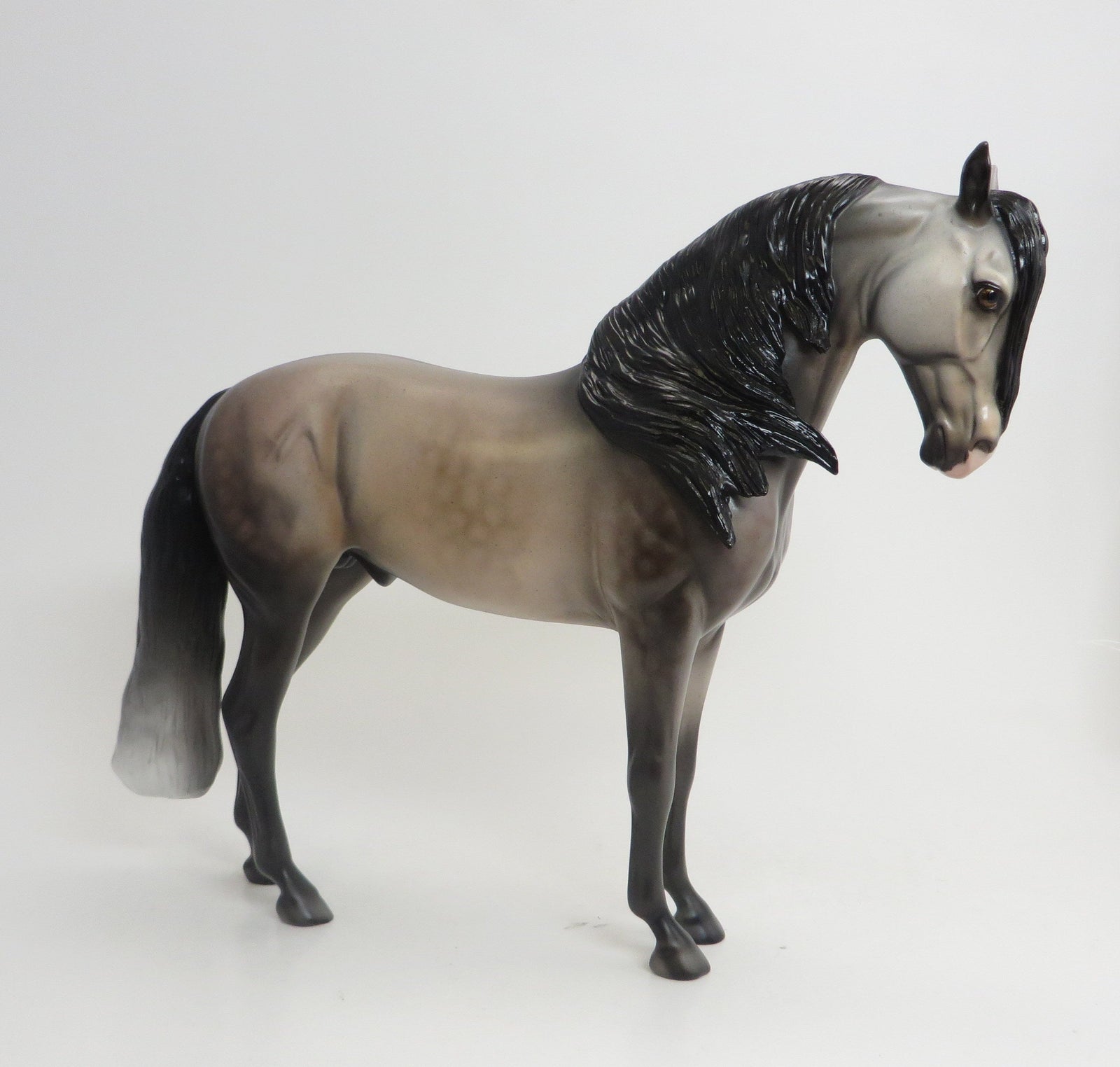 RHAPSODY - OOAK DAPPLE GREY IBERIAN 9/4