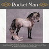 &quot;Rocket Man&quot; OOAK FCM Andalusian By Caroline Boydston Best Offer 6/3/25