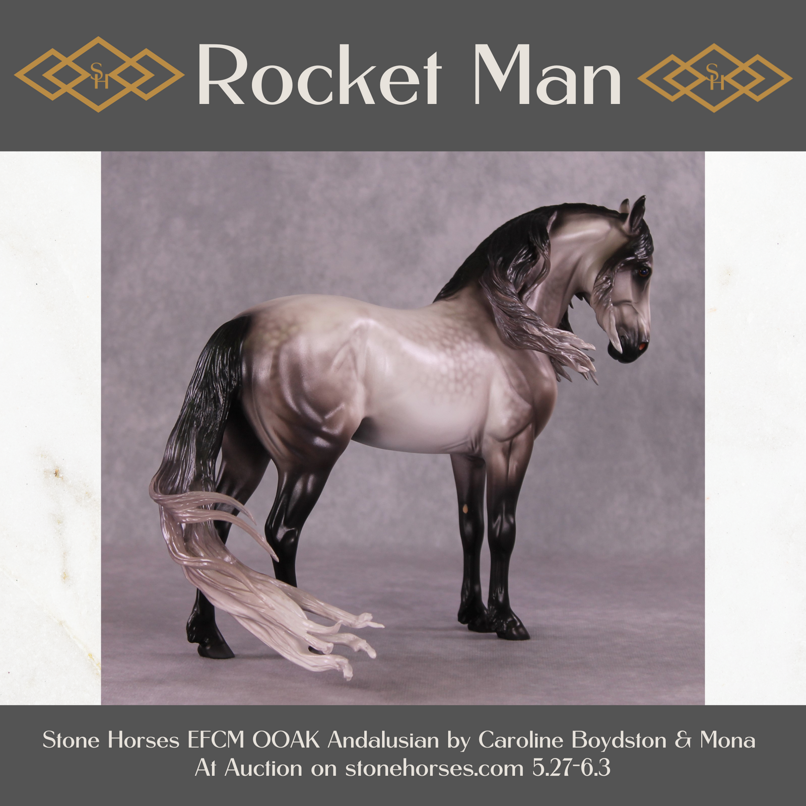 "Rocket Man" OOAK FCM Andalusian By Caroline Boydston Best Offer 6/3/25