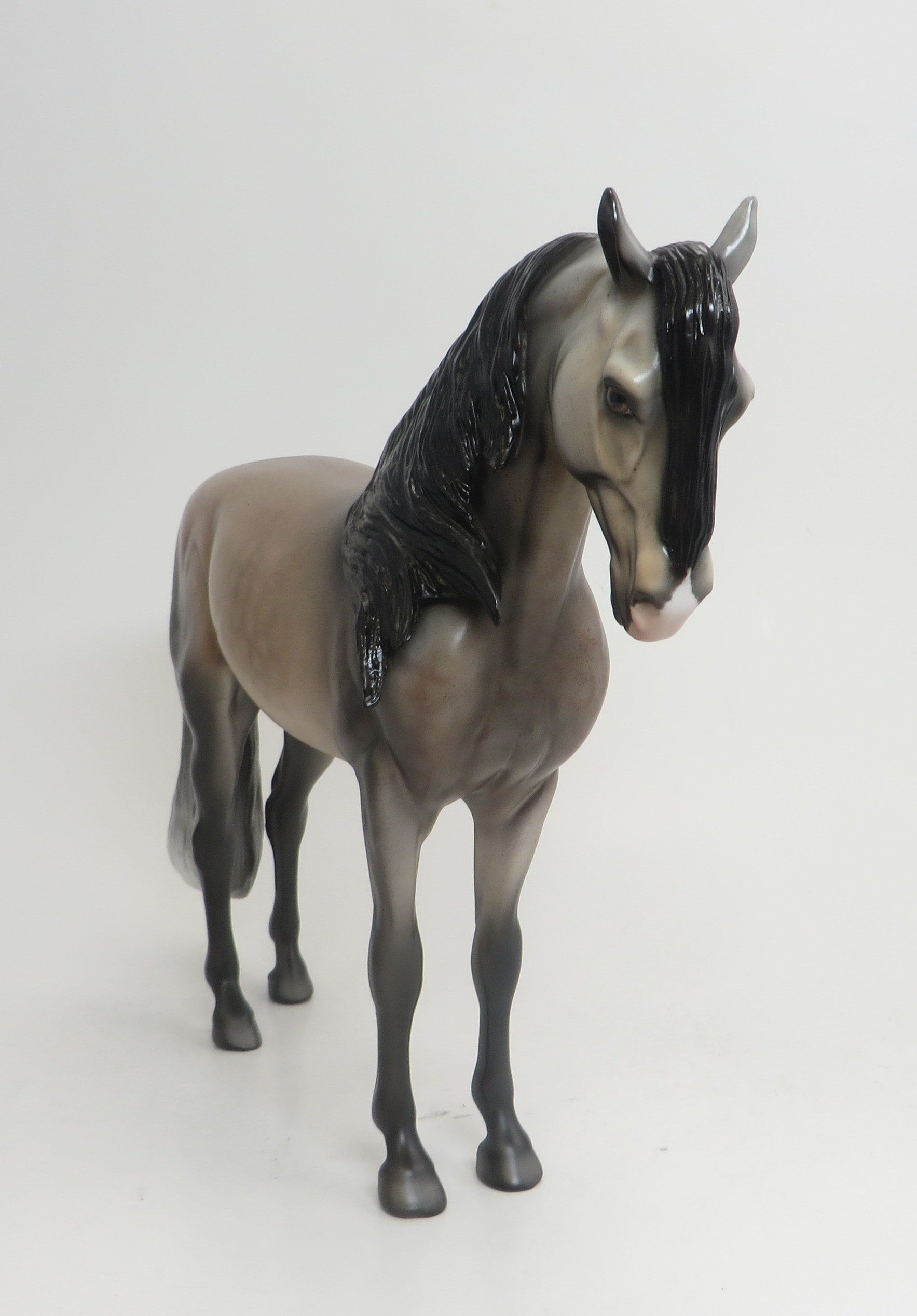 RHAPSODY - OOAK DAPPLE GREY IBERIAN 9/4