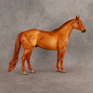 Falling for Fall OOAK Ideal Stock Horse by Madi Wiseman DDOOAKs26