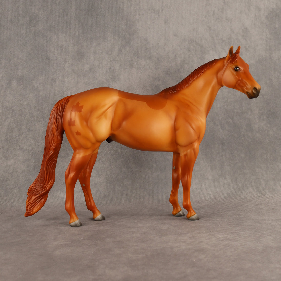 Falling for Fall OOAK Ideal Stock Horse by Madi Wiseman DDOOAKs26