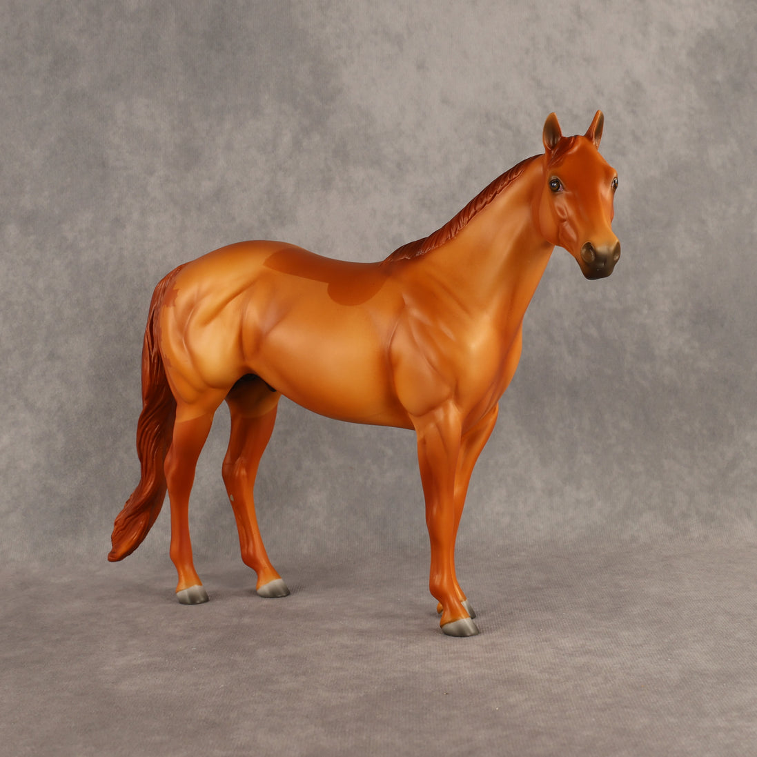 Falling for Fall OOAK Ideal Stock Horse by Madi Wiseman DDOOAKs26