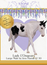 Dappledown Soirée Lady L'Ongears LE-30 Large Mule by Jess Hamill EQ25