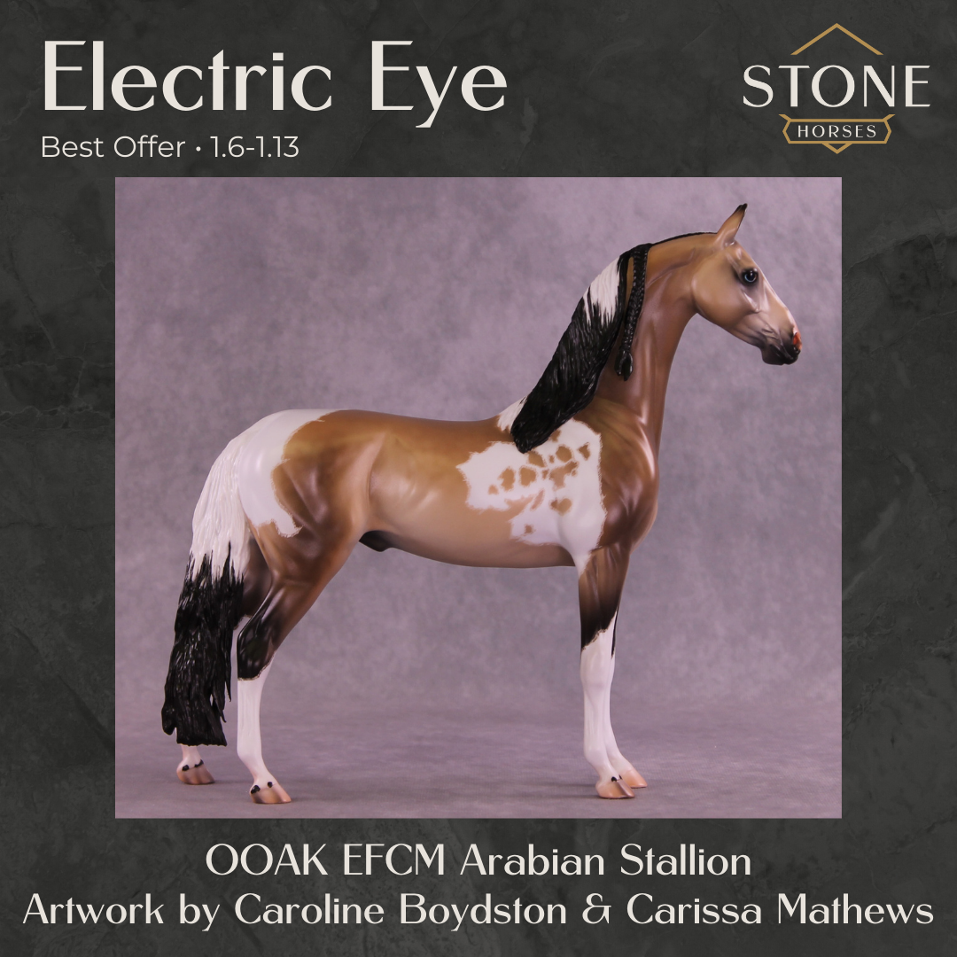Electric Eye OOAK EFCM Arabian Stallion by Caroline Boydston &amp; Carissa Mathews Best Offer 1.6.2026