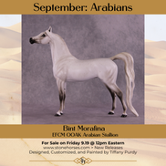 Bint Morafina OOAK EFCM Arabian by Tiffany Purdy GS925