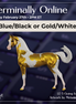 Going for Gold EFCM LE-5 Arabian Stallion by Melanie Miller TO26