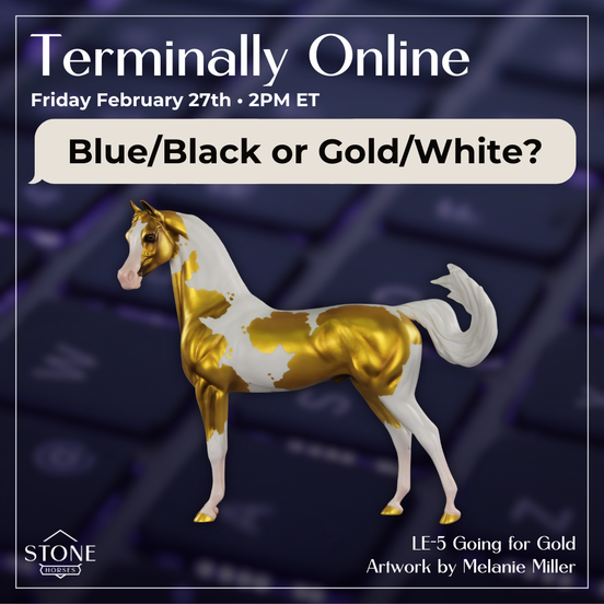 Going for Gold EFCM LE-5 Arabian Stallion by Melanie Miller TO26