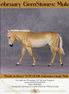 "Purdy In Bows" OOAK Custom Palomino Mule By Tiffany Purdy - GemStone Series