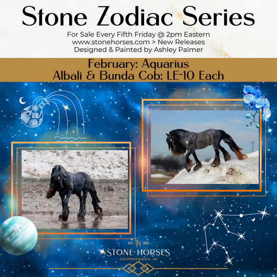 "Bunda" LE-10 Reverse Dappled Silver Blue Roan Irish Cob By Ashley Palmer Zodiac Series: Aquarius ZS25