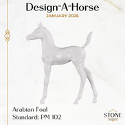 Design-A-Horse Arabian Foal January Release DAH26 PM012