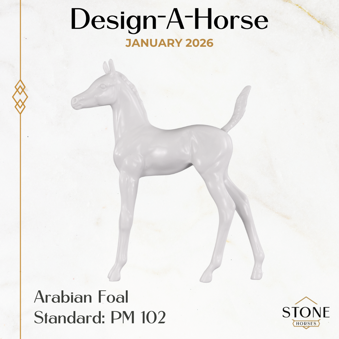 Design-A-Horse Arabian Foal January Release DAH26 PM012