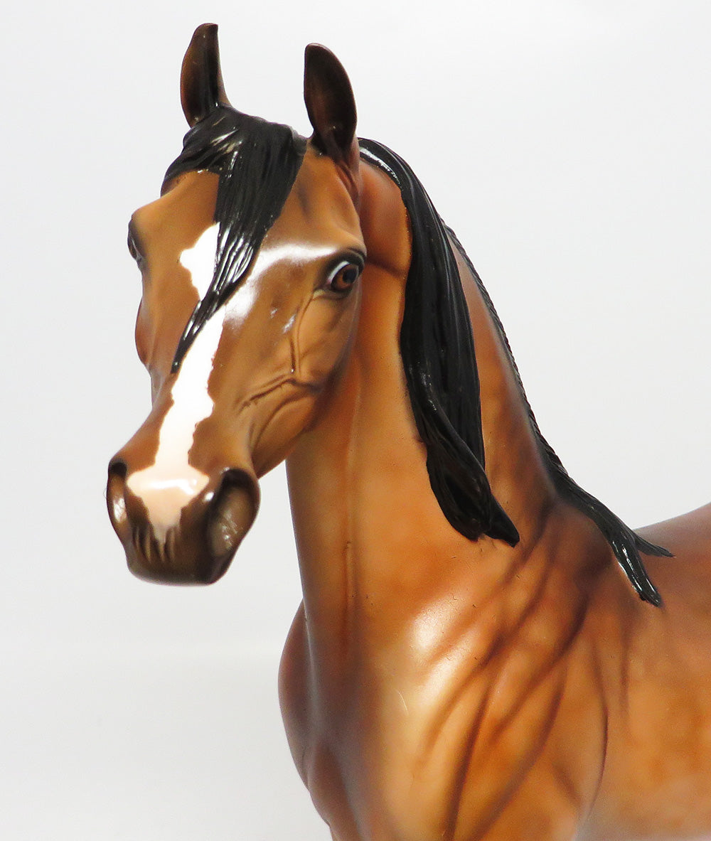 4TH OF JULY-OOAK DAPPLE BAY ARABIAN MODEL HORSE BY DAWN QUICK EQ 2017