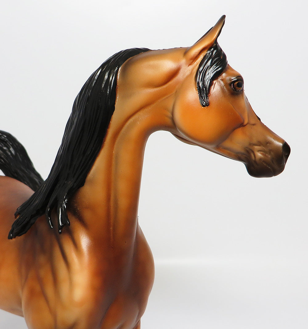 4TH OF JULY-OOAK DAPPLE BAY ARABIAN MODEL HORSE BY DAWN QUICK EQ 2017