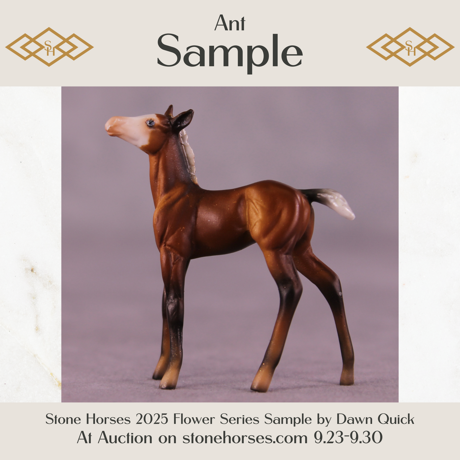 Ant Sample Chip Foal by Dawn Quick SS925