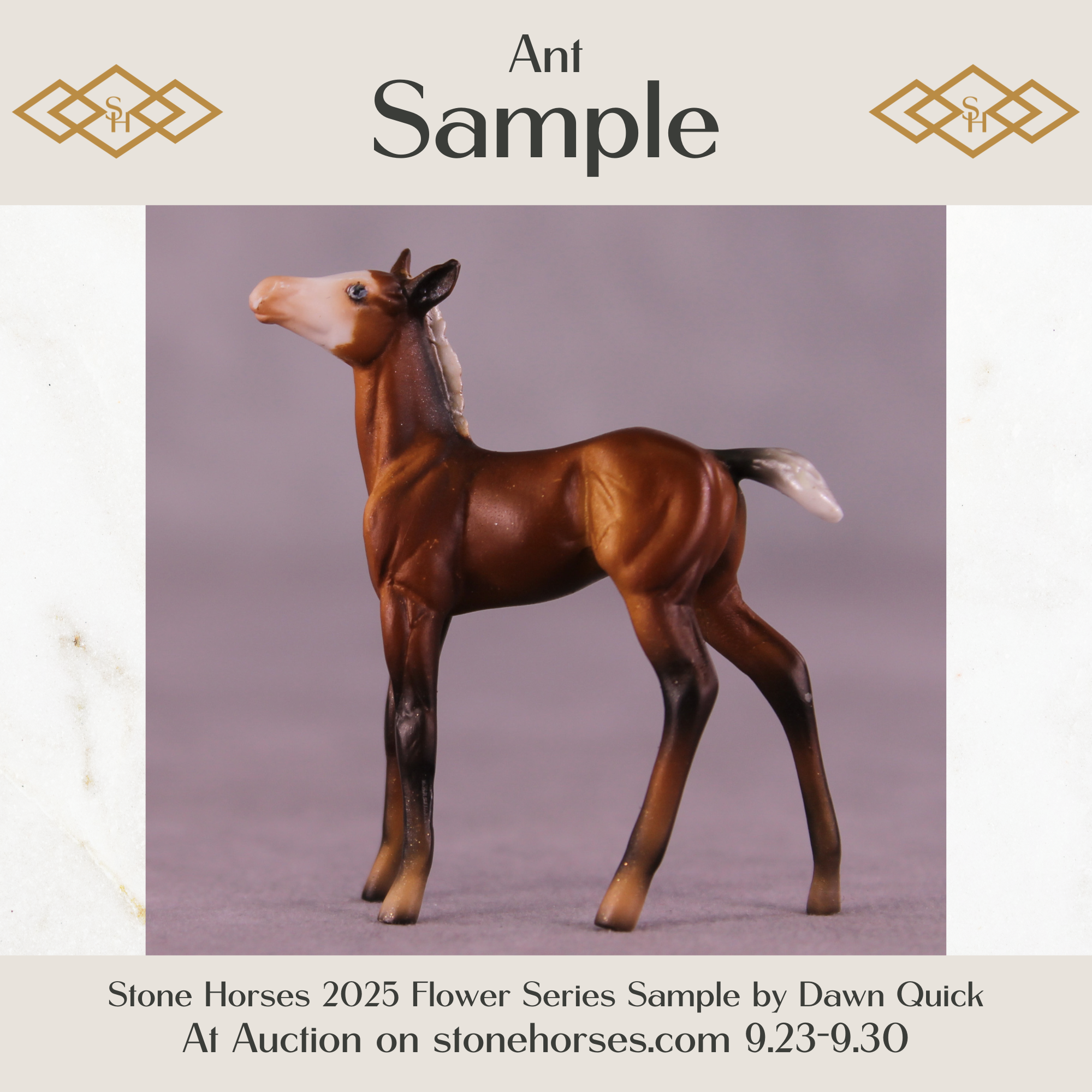 Ant Sample Chip Foal by Dawn Quick SS925