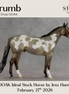 Crumb OOAK Ideal Stock Horse by Jess Hamill DDOOAKs26