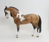 FETTERMAN - OOAK BUCKSKIN TOVERO IBERIAN 9/4