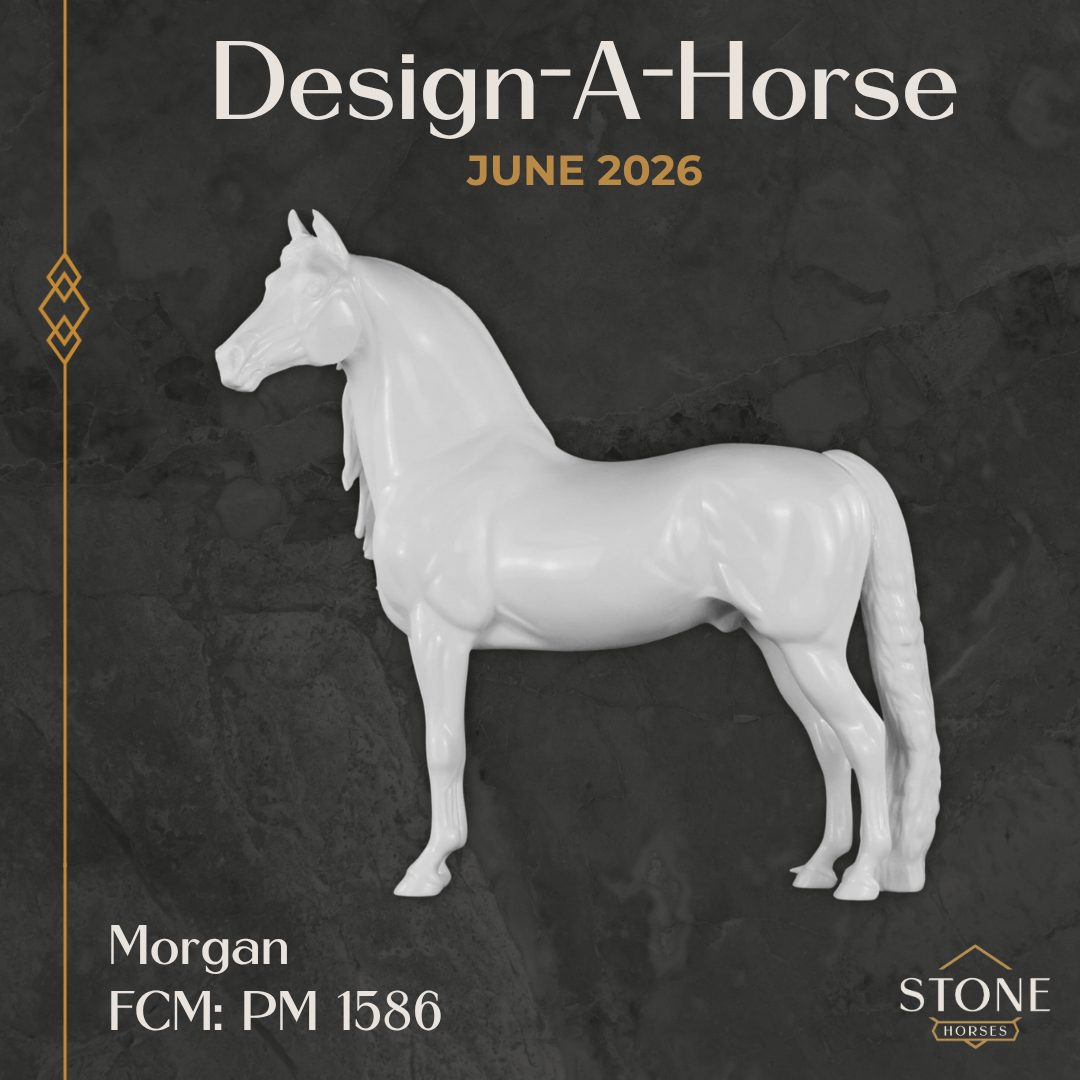 Design-A-Horse FCM Morgan June Release DAH26 PM1586