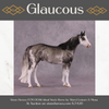 &quot;Glaucous&quot; OOAK Stock Horse by Sheryl Leisure Best Offer 6/10/25