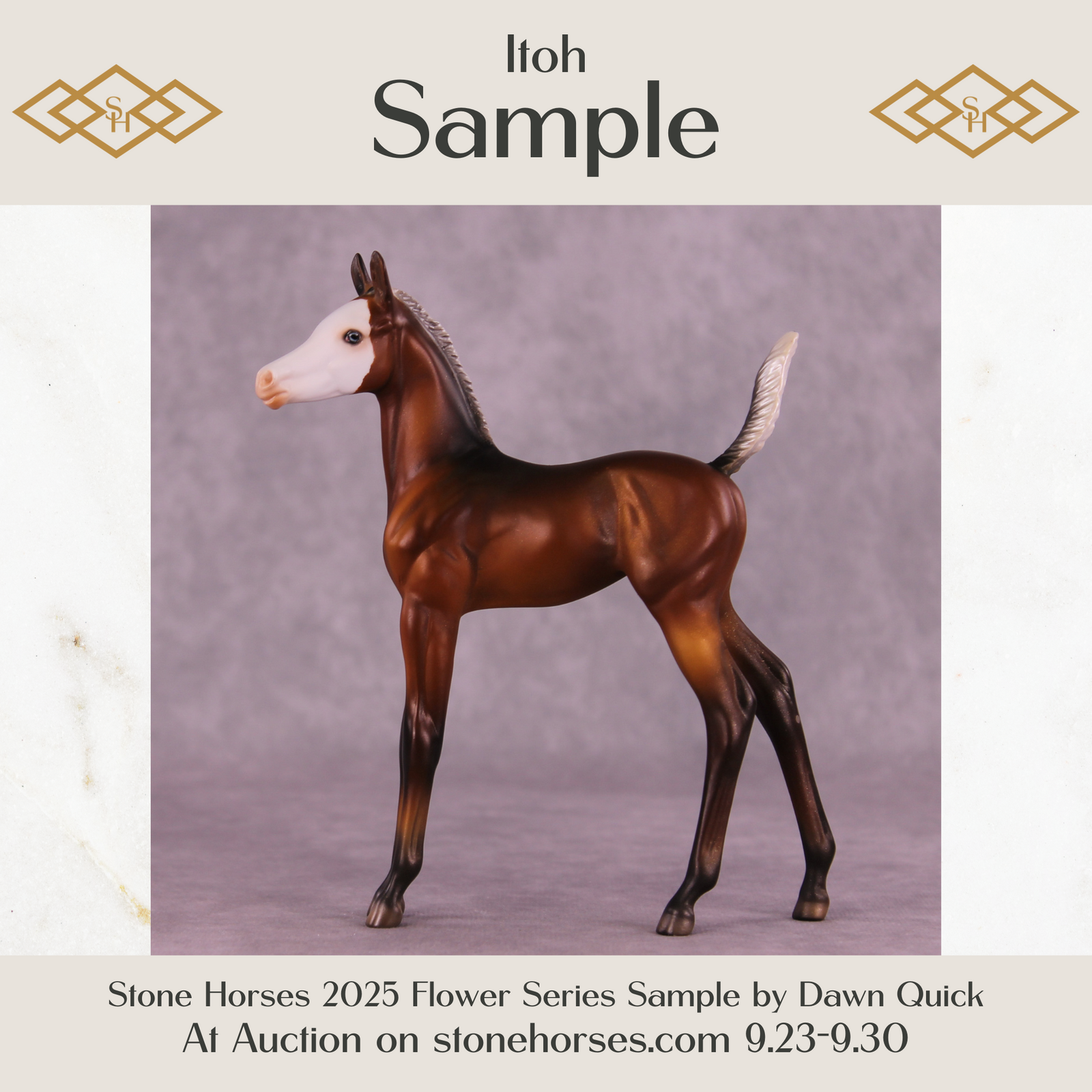 Itoh Sample Arabian Foal by Dawn Quick SS925