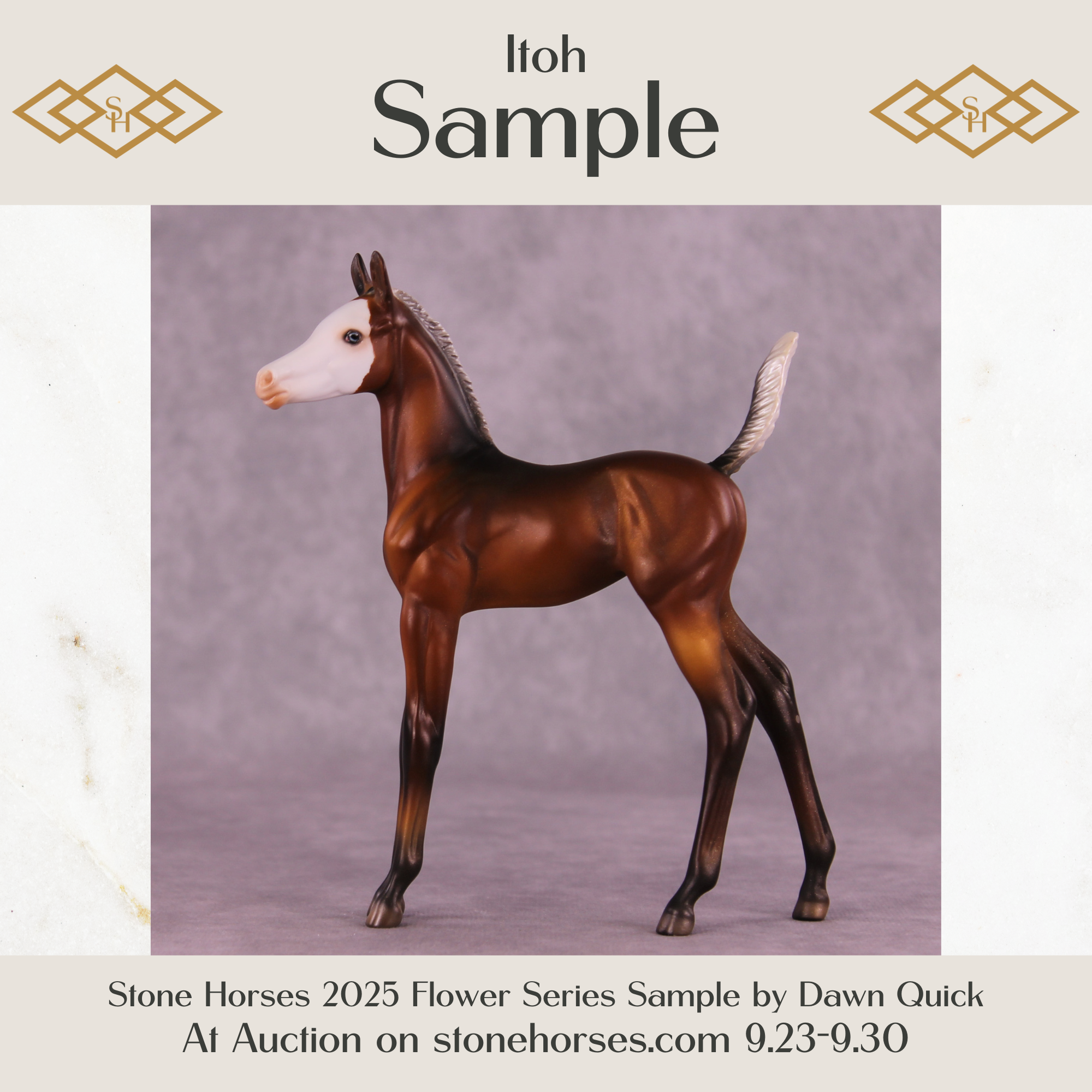 Itoh Sample Arabian Foal by Dawn Quick SS925