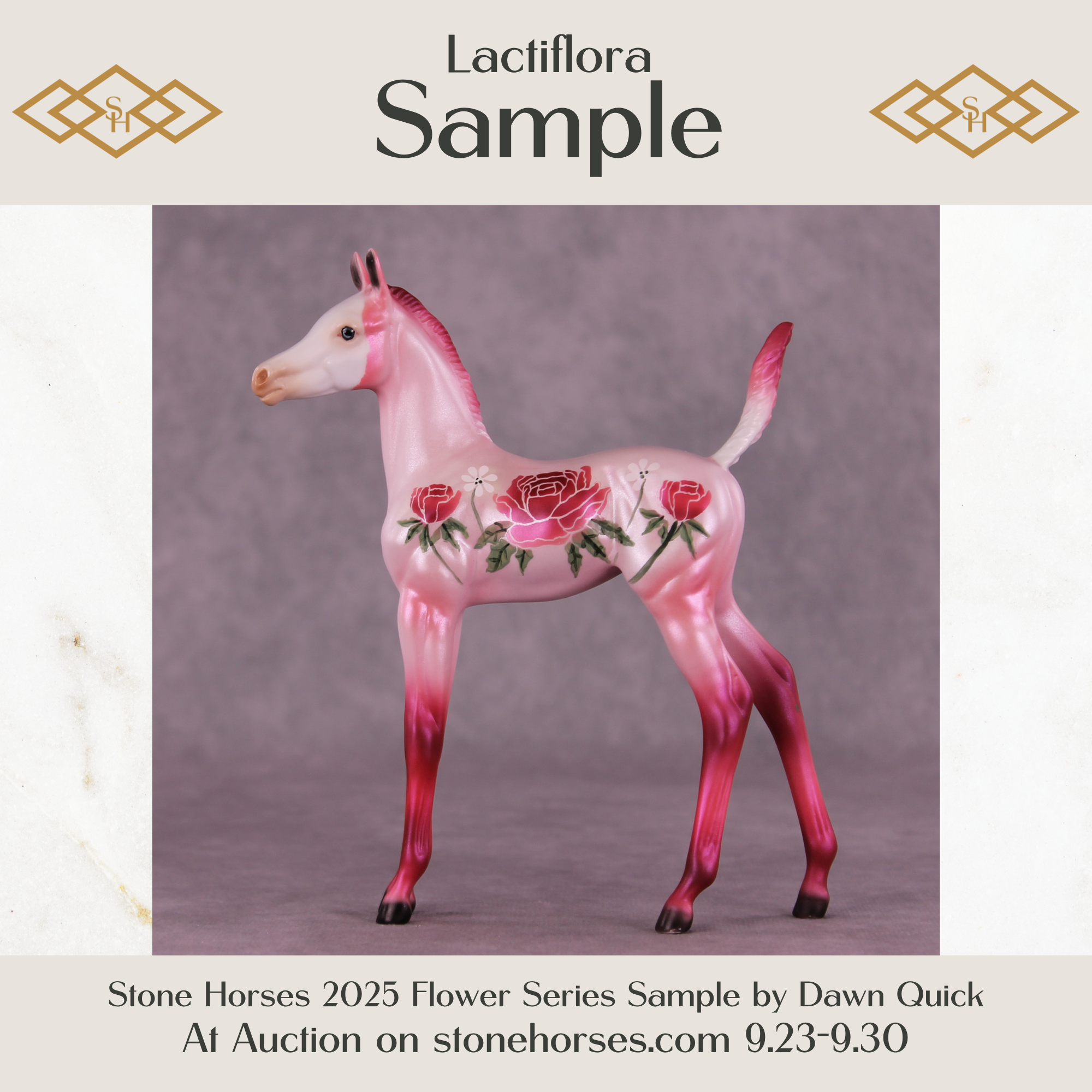 Lactiflora Sample Arabian Foal by Dawn Quick SS925