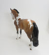 FETTERMAN - OOAK BUCKSKIN TOVERO IBERIAN 9/4