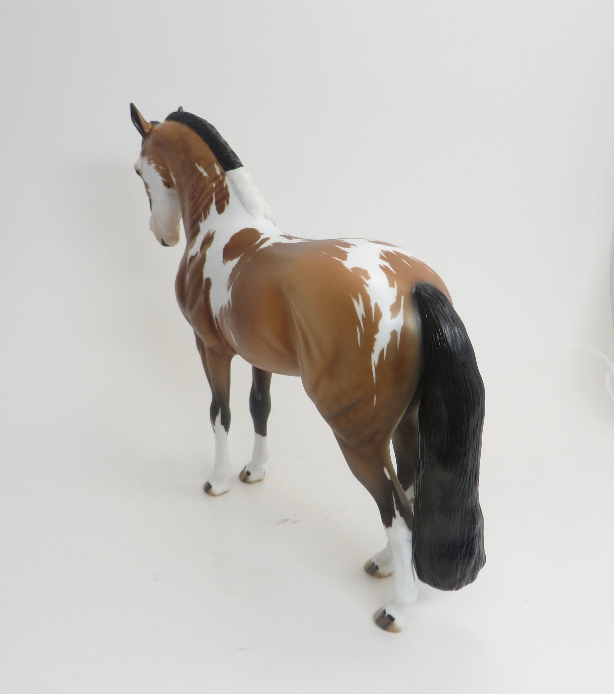 FETTERMAN - OOAK BUCKSKIN TOVERO IBERIAN 9/4