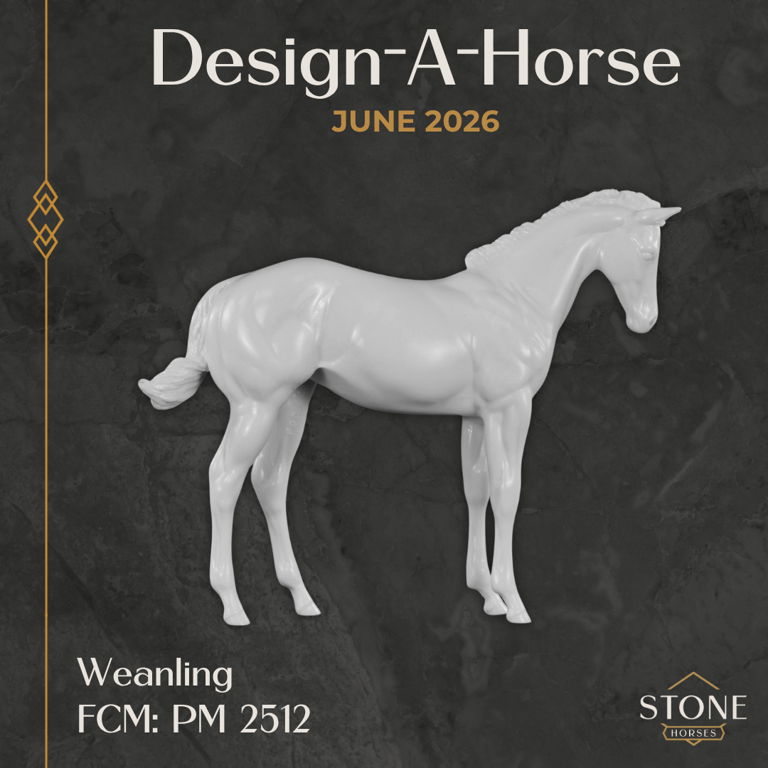 Design-A-Horse FCM Stock Horse Weanling June Release DAH26 PM02512