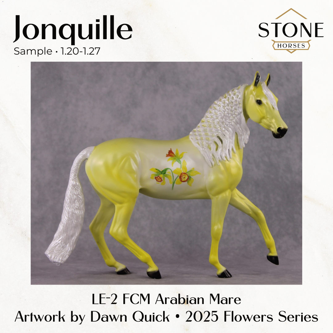 SAMPLE Jonquille LE-2 FCM Arabian Mare by Dawn Quick SS0126