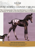 Mini Buckinghamshire OOAK EFCM Chip Foal by Julie Keim & Carissa Matthews SCD26