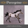 &quot;Peregrine&quot; OOAK Volo Mare by Julie Keim Best Offer 6/18/25