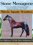 "Over Halfmoon" OOAK Glossy Beta Fish Inspired Andalusian Chip by Jess Hamill