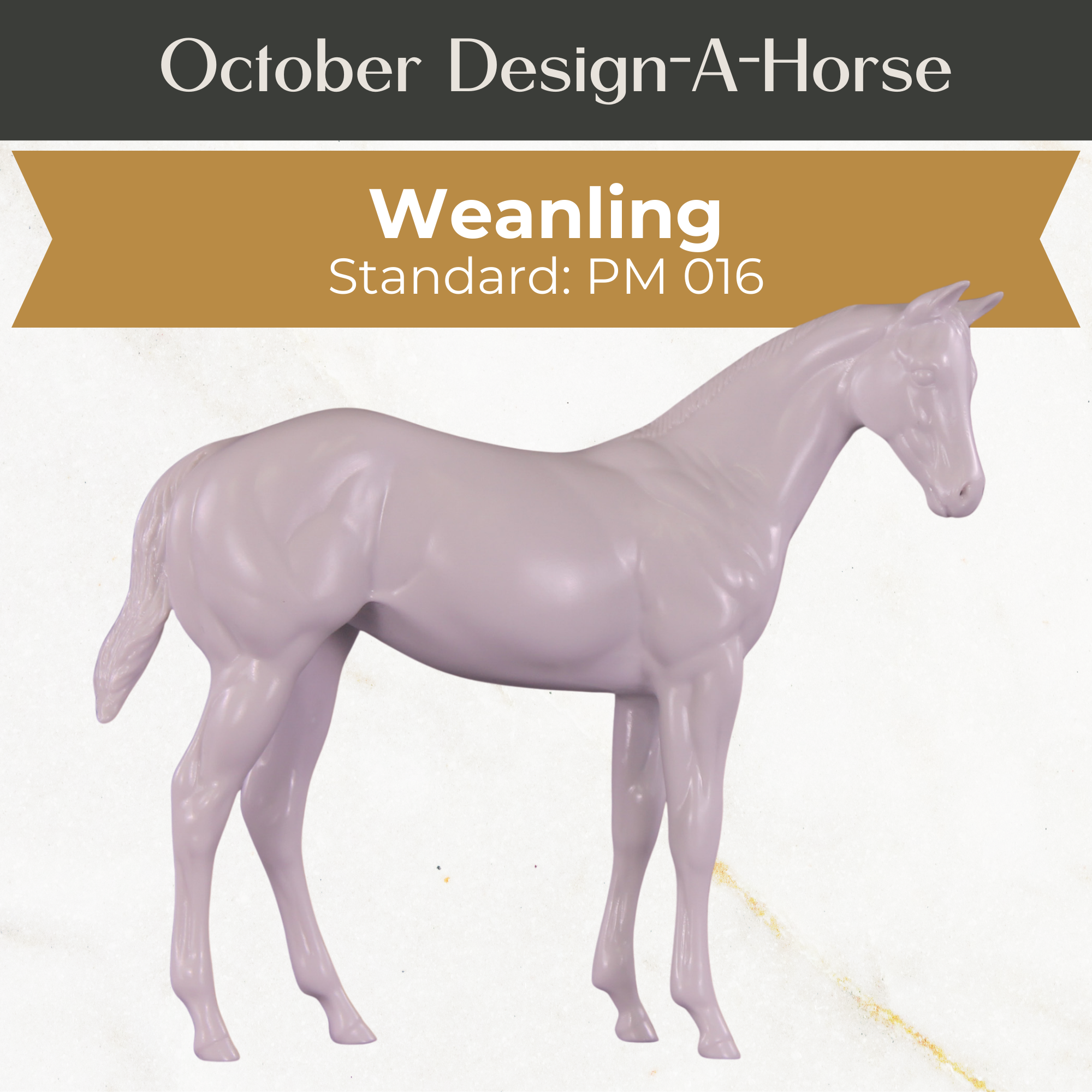 Design-A-Horse Stone Weanling PM016 - October release 2025